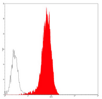 4 - Anti-CD33 Antibody AP95500