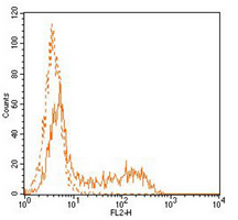 4 - Anti-CD34 Antibody AP95502