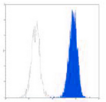 4 - Anti-CD35 Antibody AP95503