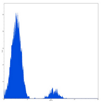 4 - Anti-CD37 Antibody AP95504
