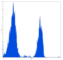 4 - Anti-CD4 Antibody AP95507