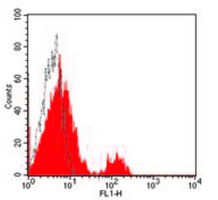 4 - Anti-CD40 Antibody AP95509