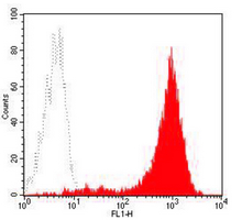 4 - Anti-CD44 Antibody AP95511