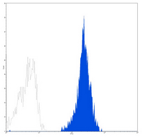 4 - Anti-CD45 Antibody AP95512