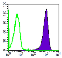 4 - Anti-CD47 Antibody AP95515