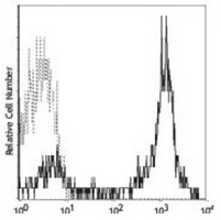 4 - Anti-CD5 Antibody AP95518