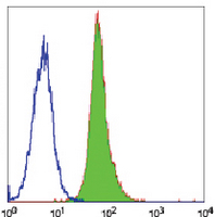 4 - Anti-CD55 Antibody AP95521