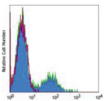 4 - Anti-CD56 Antibody AP95522