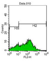 4 - Anti-CD7 Antibody AP95530