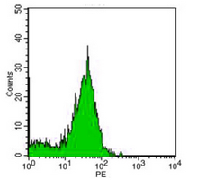 4 - Anti-CD73 Antibody AP95531