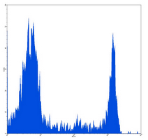 4 - Anti-CD8 Antibody AP95533
