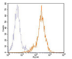 4 - Anti-CD86 Antibody AP95536