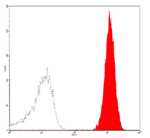 4 - Anti-CD9 Antibody AP95537