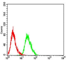 4 - Anti-ABCG2 Antibody AP95638