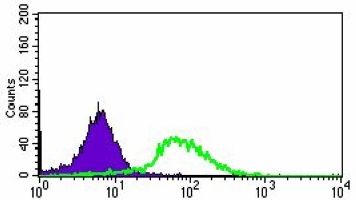 4 - Anti-ABCG5 Antibody AP95639