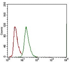 4 - Anti-ABCG5 Antibody AP95640