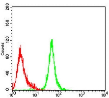 4 - Anti-ACAA1 Antibody AP95641