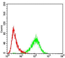 4 - Anti-ACADM Antibody AP95642