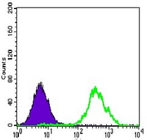 4 - Anti-ACLY Antibody AP95644