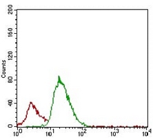 4 - Anti-ACP5 Antibody AP95645