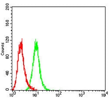 4 - Anti-Smooth Muscle Actin Antibody AP95646