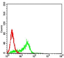 4 - Anti-CD156b Antibody AP95648