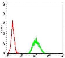 4 - Anti-ADAMTS1 Antibody AP95649