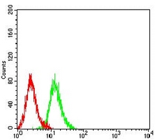 4 - Anti-Centaurin-alpha-1 Antibody AP95650