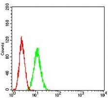 4 - Anti-ADAR1 Antibody AP95651