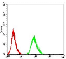 4 - Anti-Beta-2 Adrenergic Receptor Antibody AP95652