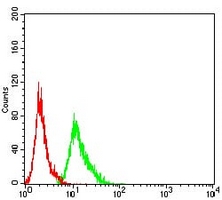 4 - Anti-AEBP2 Antibody AP95653