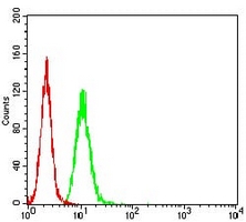 4 - Anti-XB130 Antibody AP95654