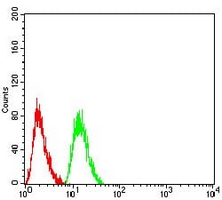 4 - Anti-AKT Antibody AP95655