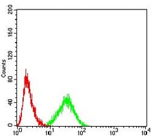 4 - Anti-AKT Antibody AP95656