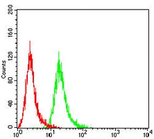 4 - Anti-ALB Antibody AP95657