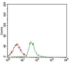 4 - Anti-CD166 Antibody AP95658