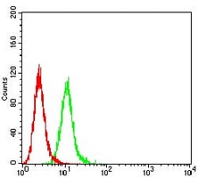4 - Anti-ALDH1A1 Antibody AP95659