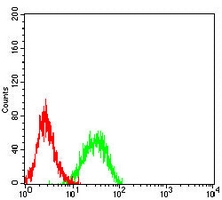 4 - Anti-ALDH1L1 Antibody AP95660