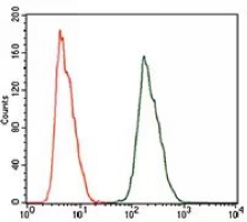 4 - Anti-ALDH2 Antibody AP95661