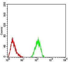 4 - Anti-ALDH6A1 Antibody AP95662