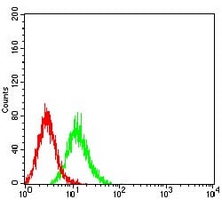 4 - Anti-ALDOA Antibody AP95663