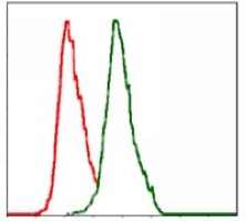 4 - Anti-ALPL Antibody AP95666