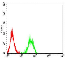 4 - Anti-ALPPL2 Antibody AP95667