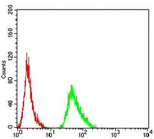 4 - Anti-AMY1A Antibody AP95668