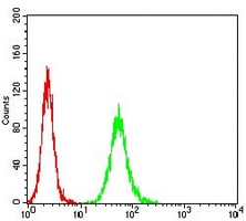 4 - Anti-APC10 Antibody AP95669