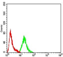 4 - Anti-ARFGAP1 Antibody AP95672
