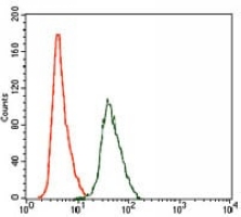 4 - Anti-RhoGDI alpha Antibody AP95673