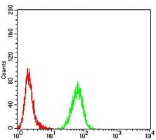 4 - Anti-ASF1B Antibody AP95674