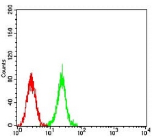 4 - Anti-ASH2L Antibody AP95675
