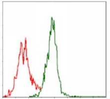 4 - Anti-ASS1 Antibody AP95676
